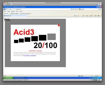 Acid3 test IE8