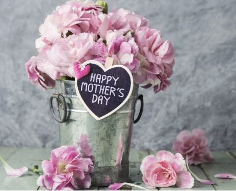 Maggio fiori e la festa della mamma - Oggi mamma news