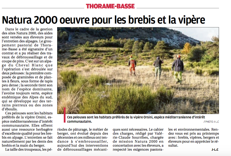 revue presse sites rencontre