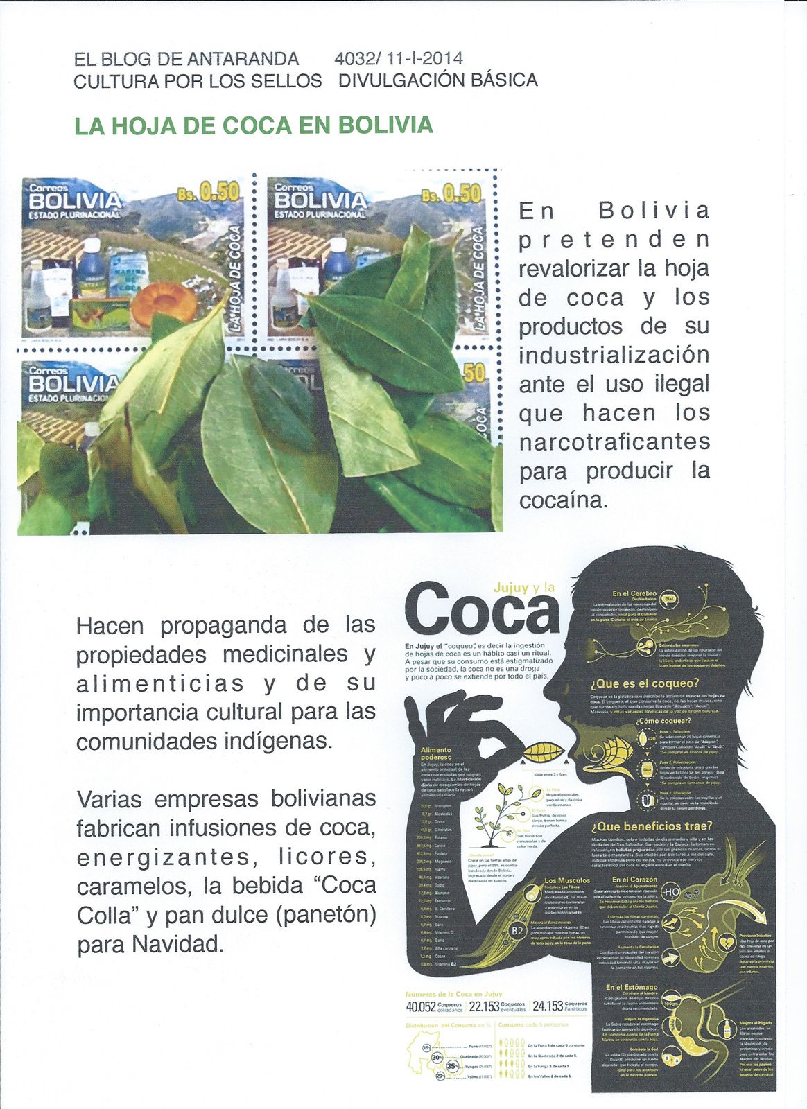 LA HOJA DE COCA EN BOLIVIA encina 3
