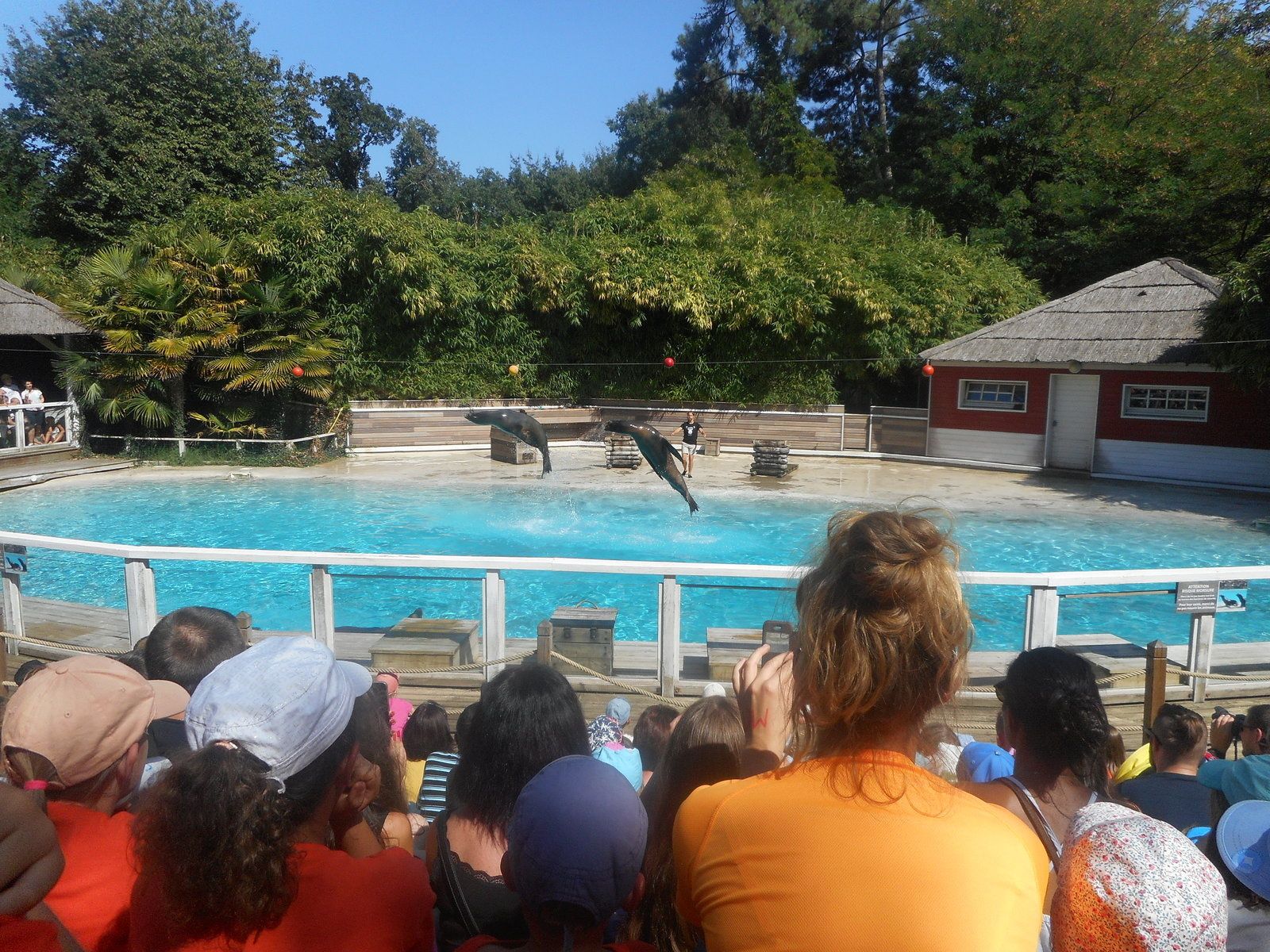site de rencontre pour tous les animaux