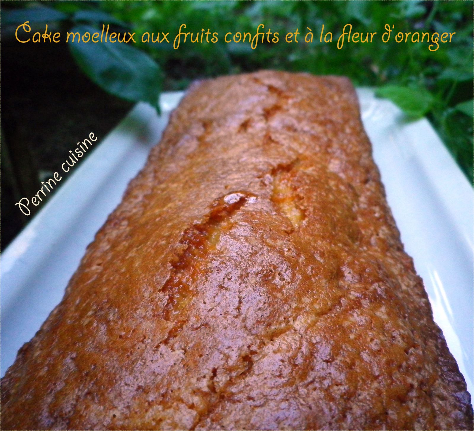 Cake moelleux aux fruits confits et à la fleur d'oranger Perrine cuisine