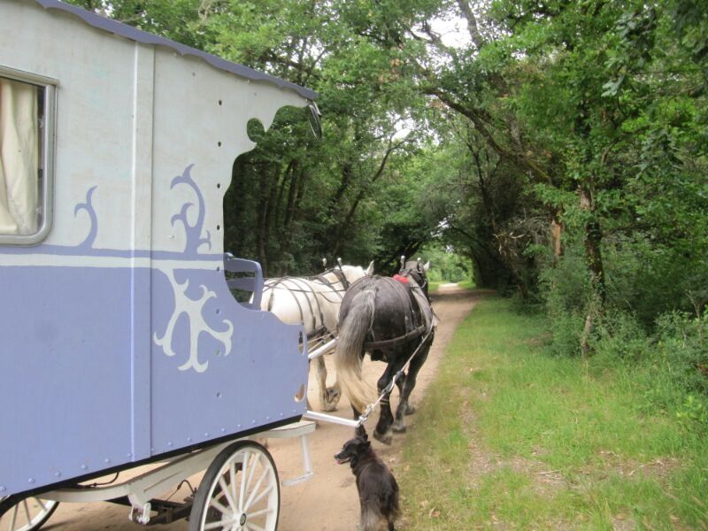 À sablonceaux puis au marais de Gerzais