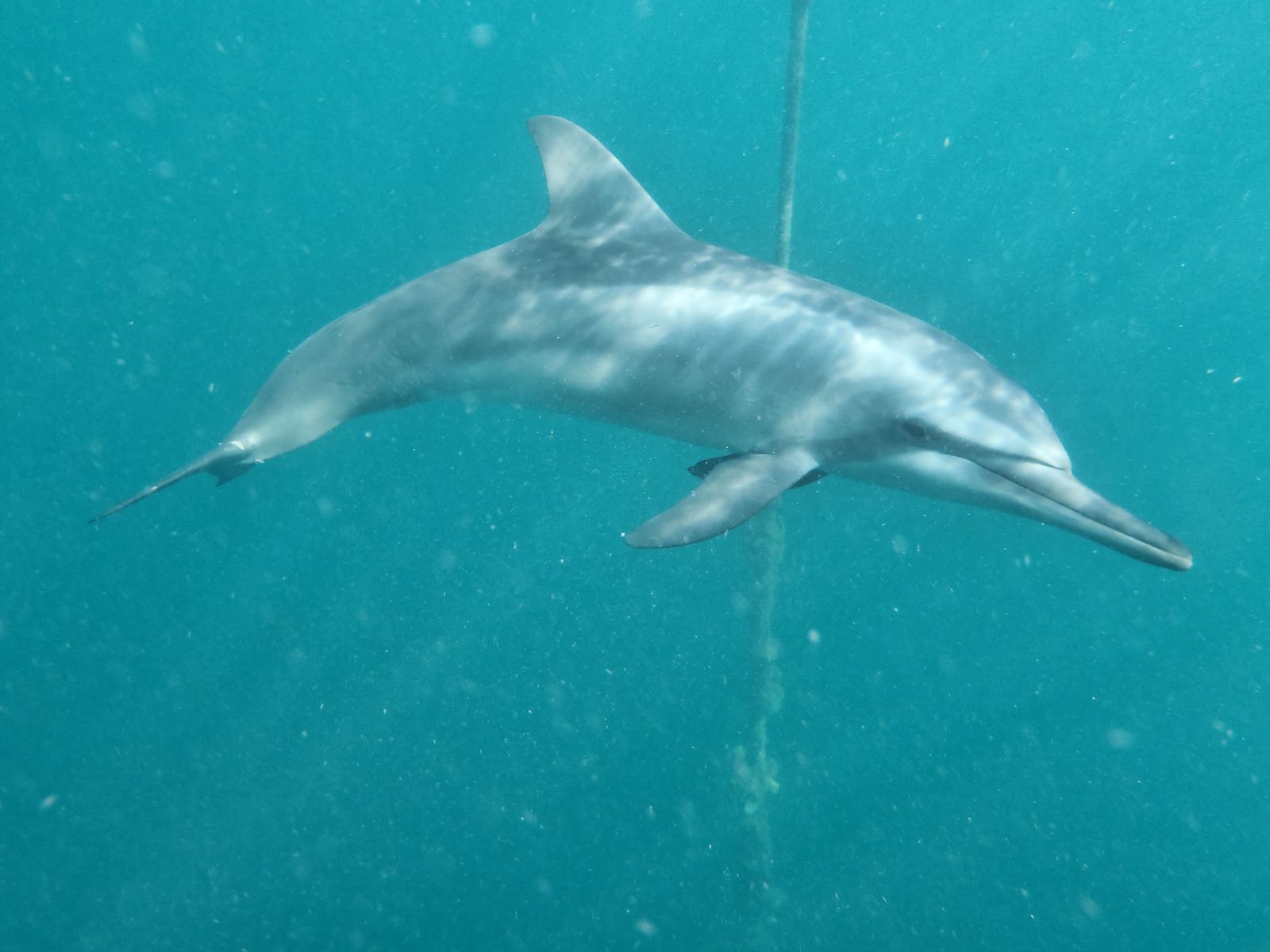 rencontres thailande