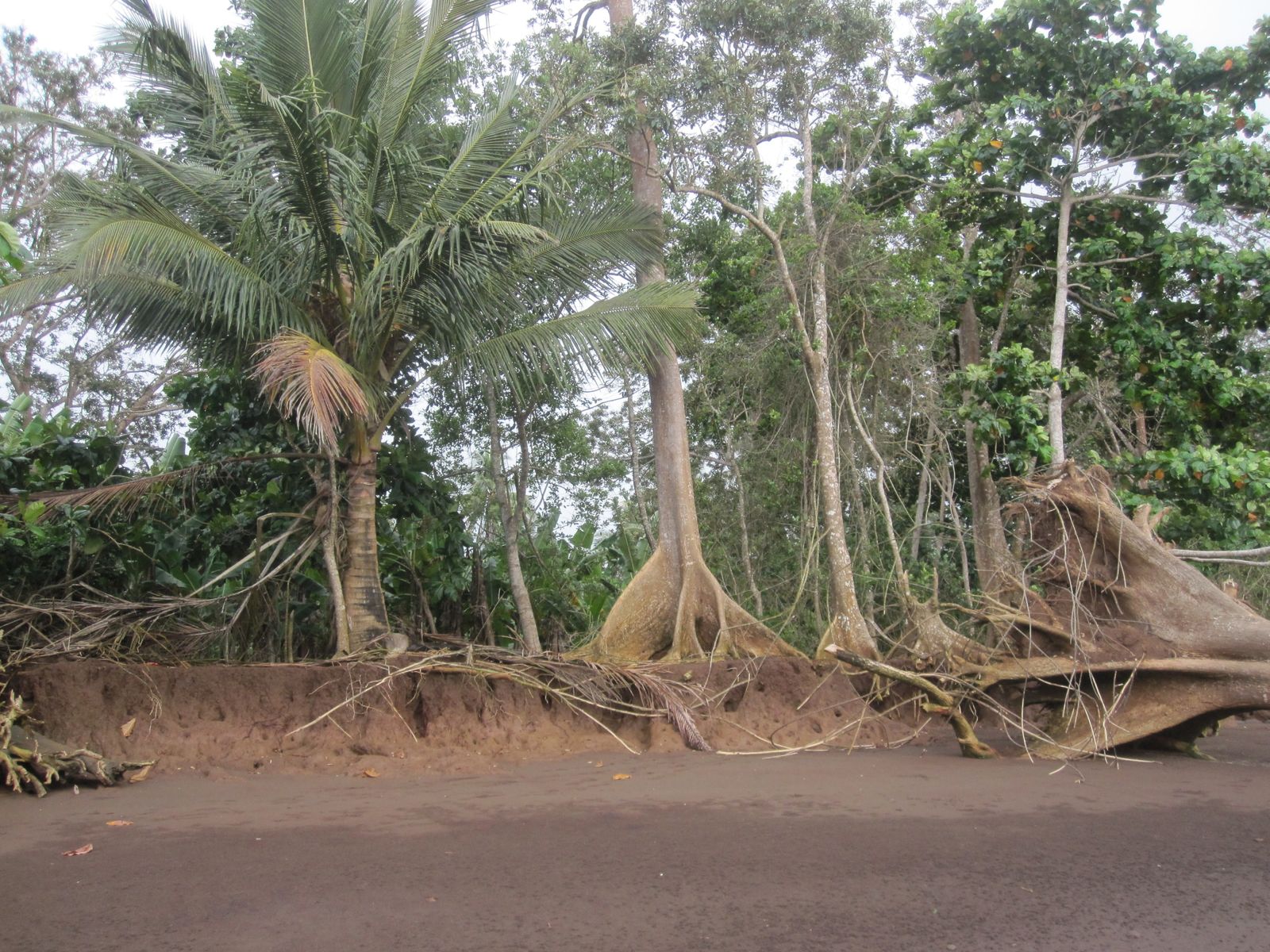La cascade de Soulou Caribou à Mayotte