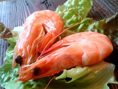 Deux crevettes et un petit blanc