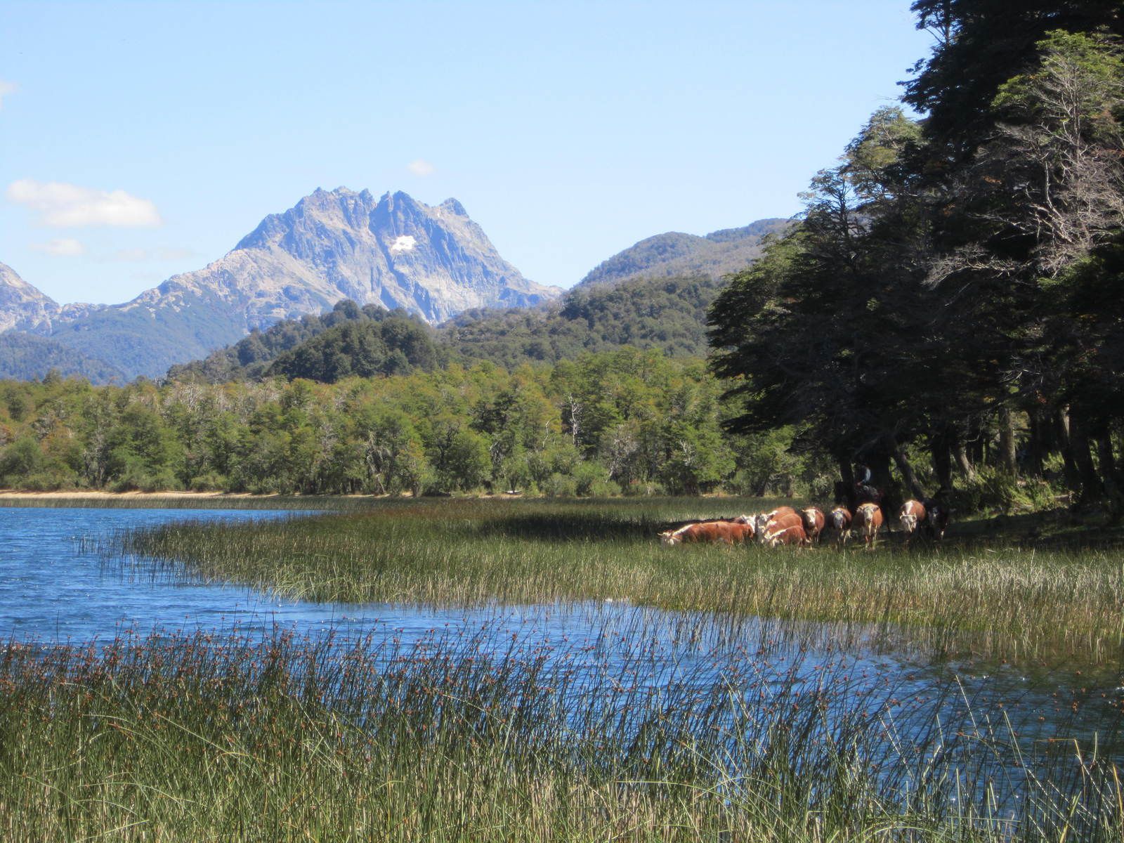 Notre arrivée en Patagonie : Bariloche