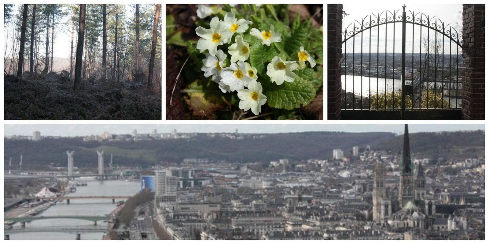 Mardi 3 mars