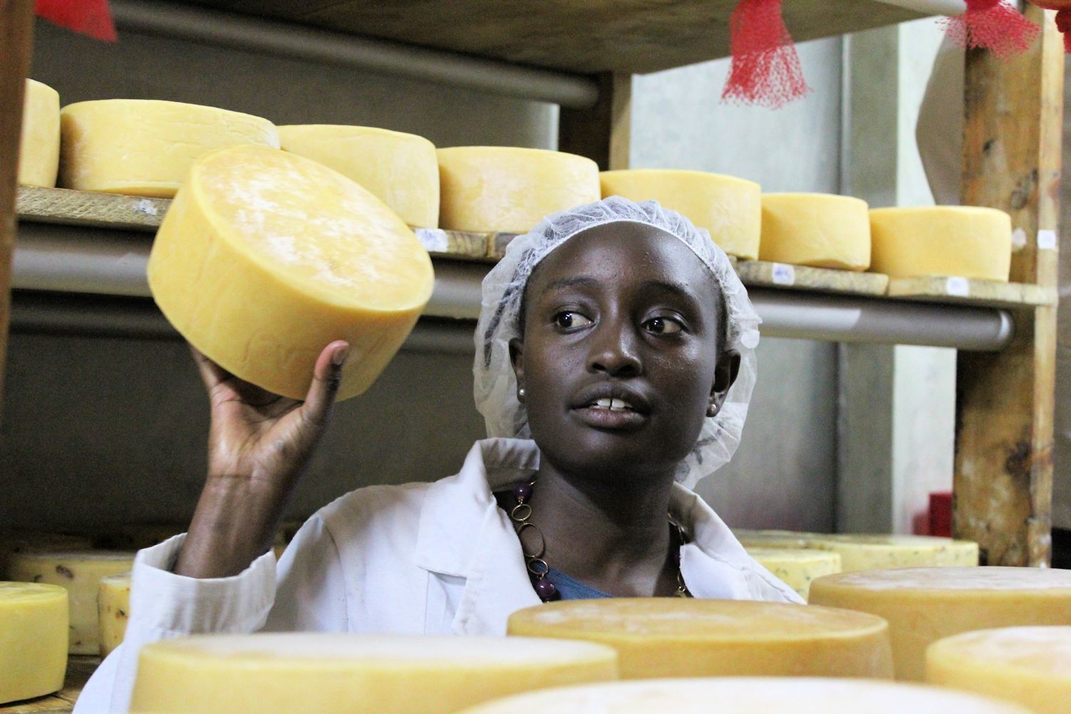 Brown's Cheese Factory & Farm