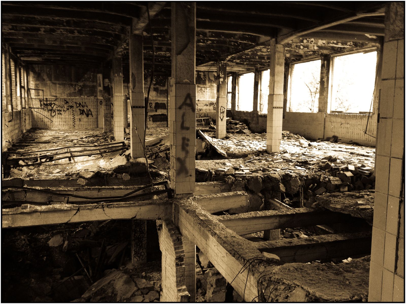 ob_3995528a95b75ed70ebf6235e4d3e341_img-