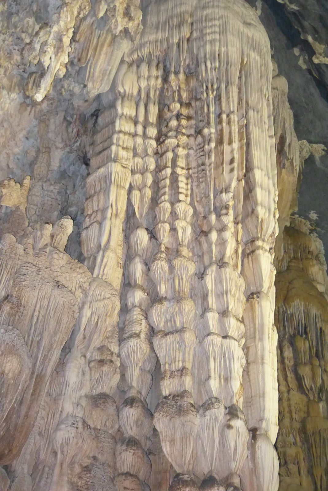 Phong Nha-Ke Bang : grottes, rivières et locaux adorables