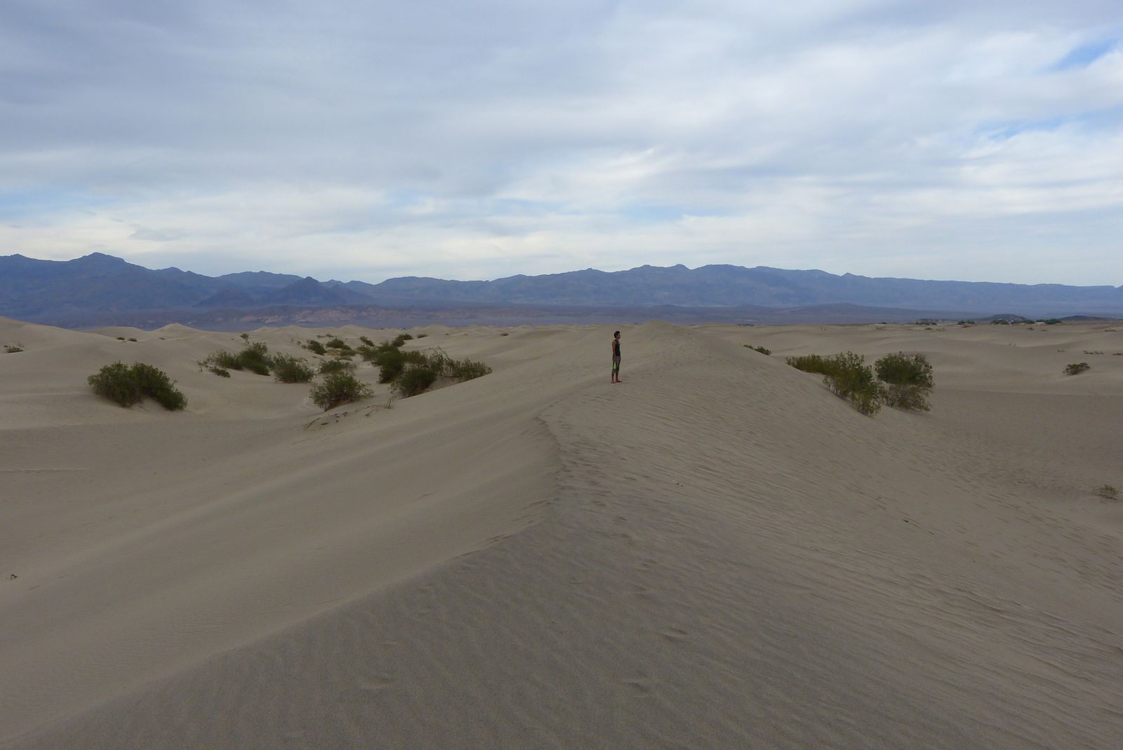 Death Valley : des montagnes au désert, de 10 à 40 degrés