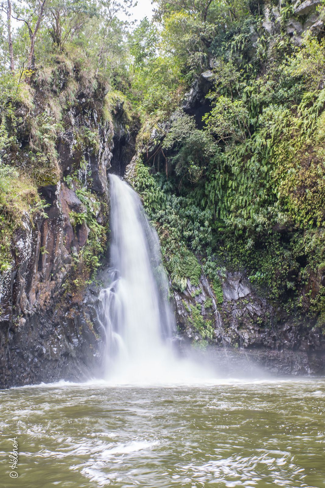 La Réunion - Les cascades 