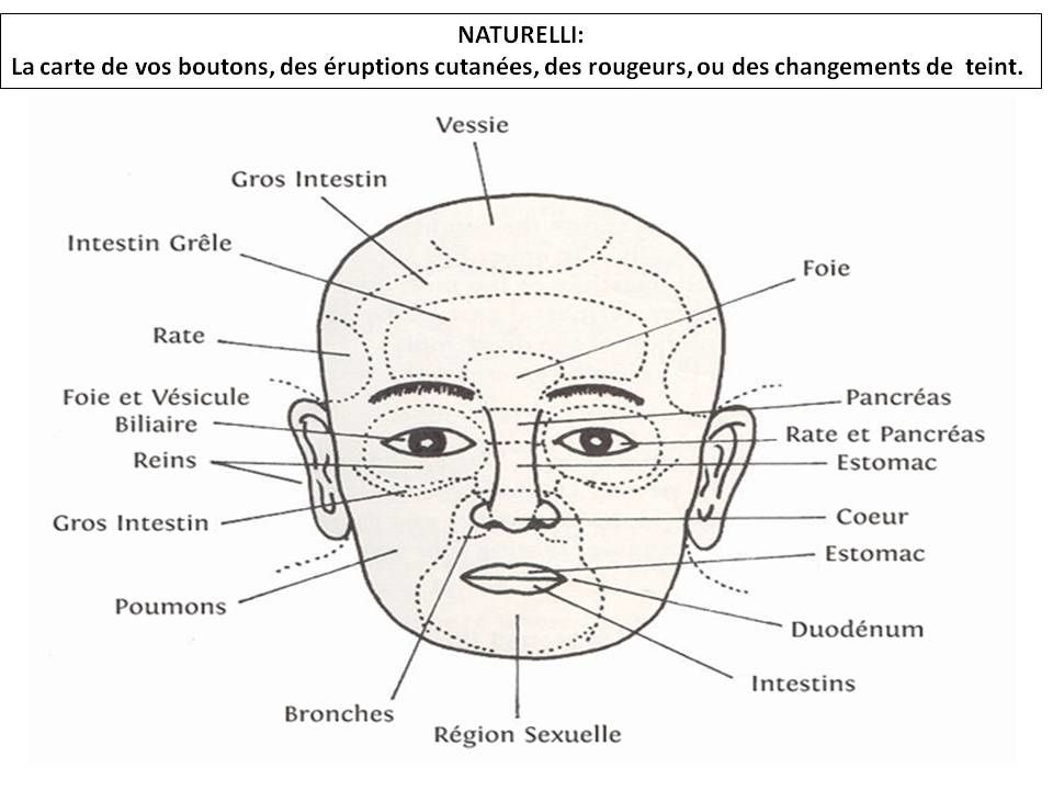Carte du visage