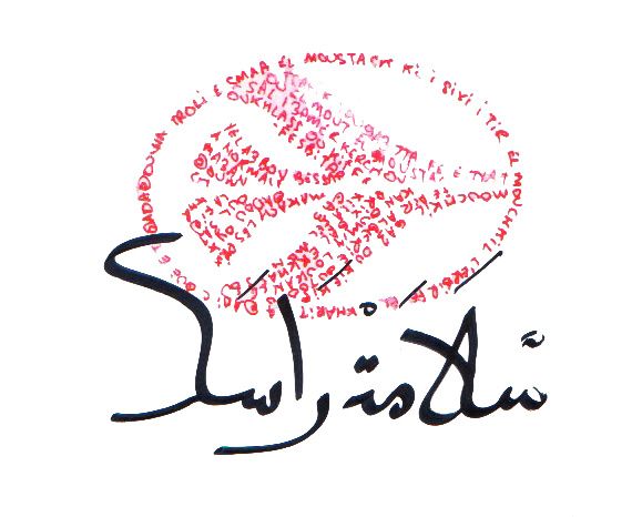 قائد الناحية العسكرية الثالثة ينهي الإضراب بمطار بشار