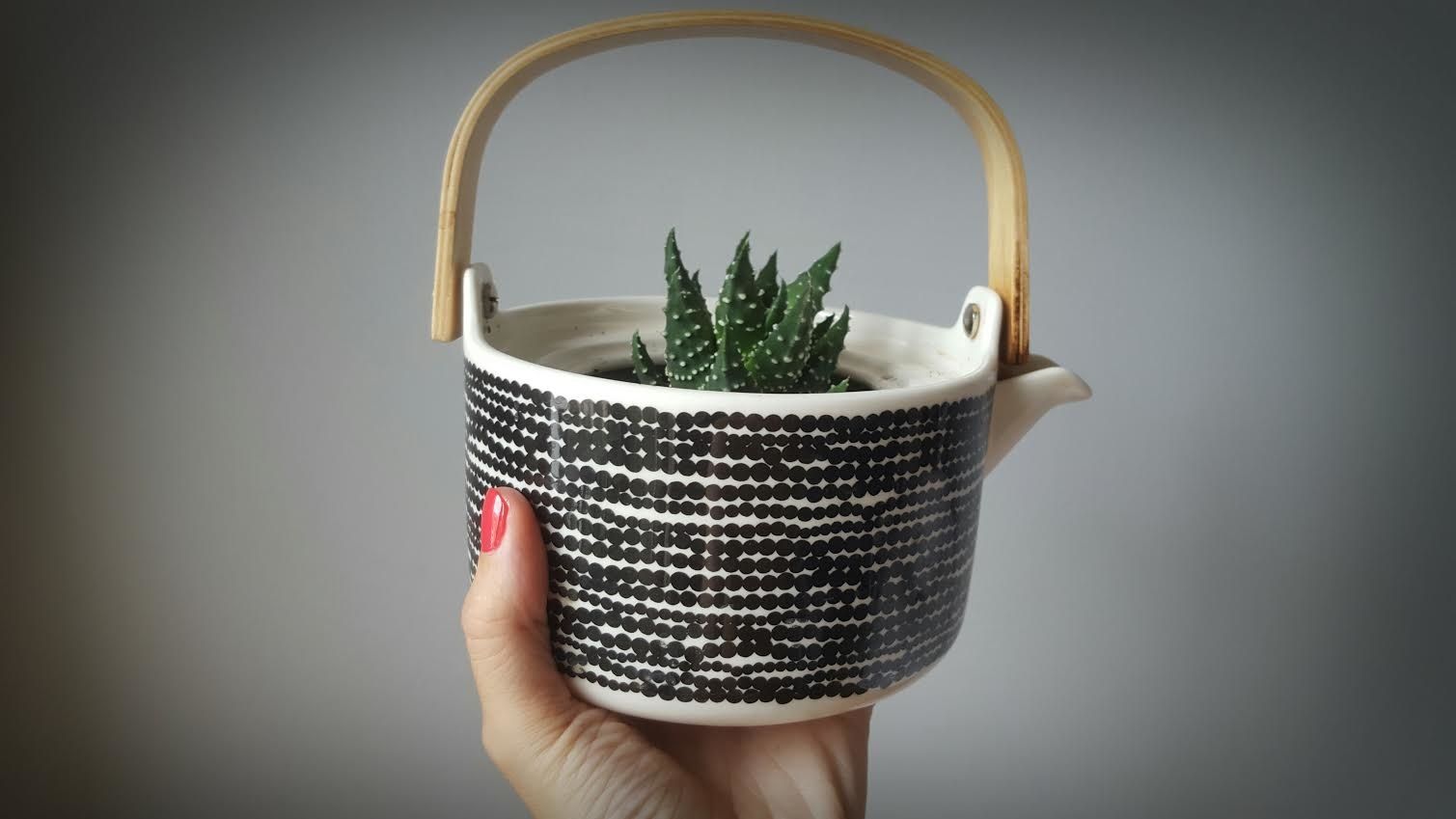 Aménager sa petite serre d'intérieur..diy #35 littleprinceleblog.com