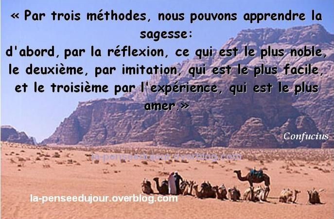 L Apprentissage De La Sagesse La Pensee Du Jour