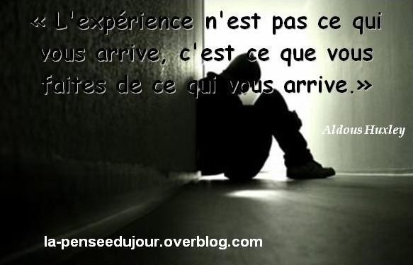 L Experience De La Vie La Pensee Du Jour