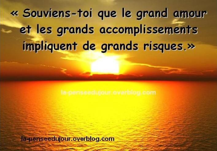 Qui Ne Risque Rien N Aura Rien La Pensee Du Jour