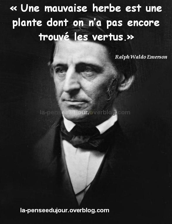 Ne Jugez Personne Sans Connaitre Sa Vraie Valeur La Pensee Du Jour