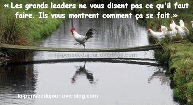LE VRAI SENS D�UN LEADER La Pensée Du Jour