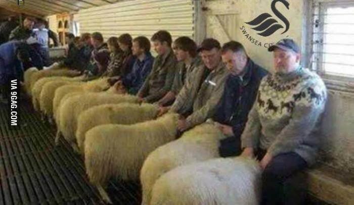 Kiwi speed dating
