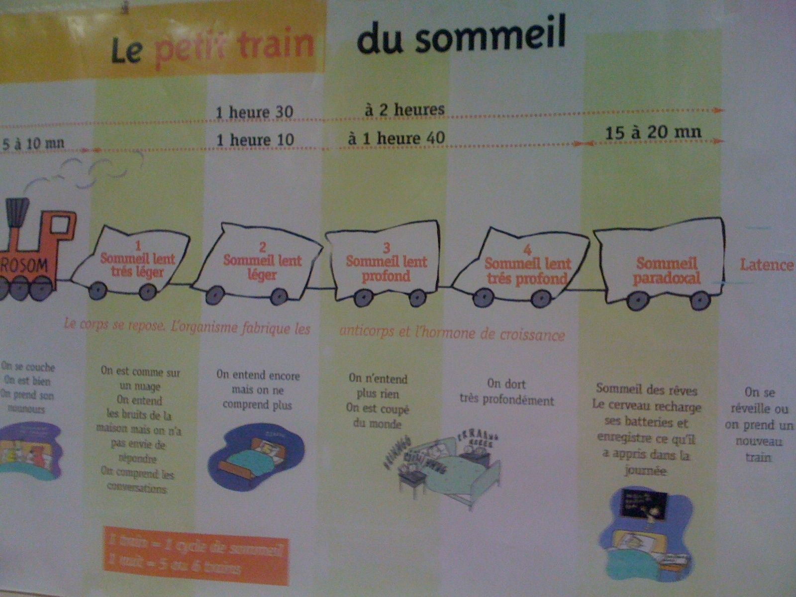 Activité Pédagogique Sur Le Sommeil Maternelle conseilpetiteenfance.overblog.com
