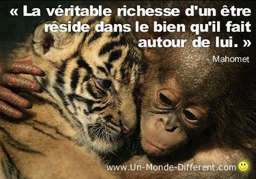 Citation Nightoanami Overblog Com