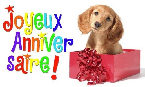 R�sultat de recherche d'images pour "joyeux anniversaire  animaux"