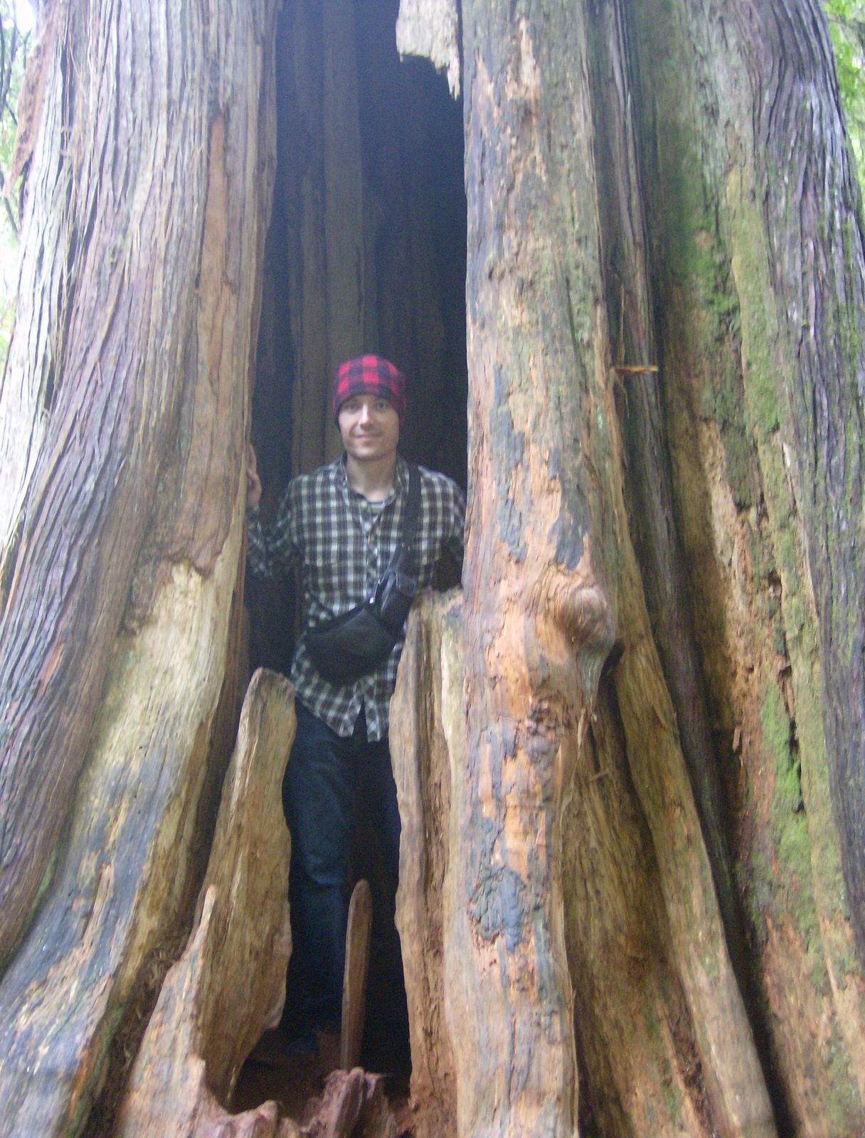 rencontre avec orques canada