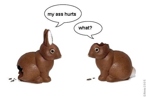 ebunny