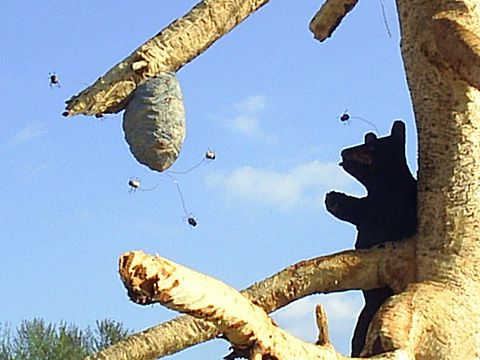 bear-and-bees.JPG bear-and-bees.JPG