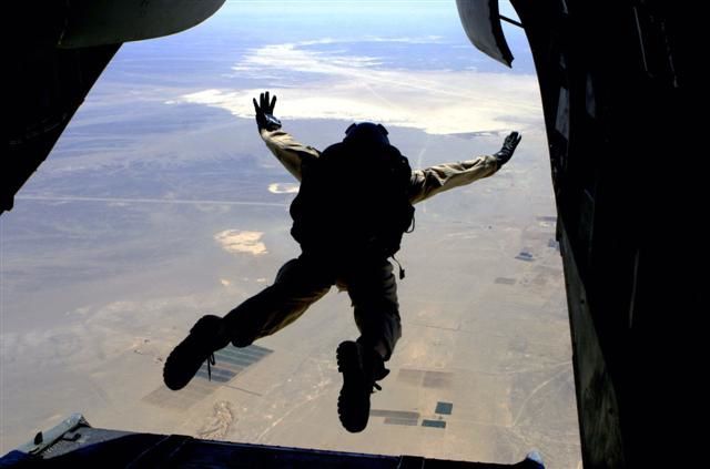 freefall-small.jpg