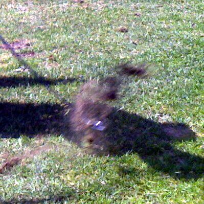divot