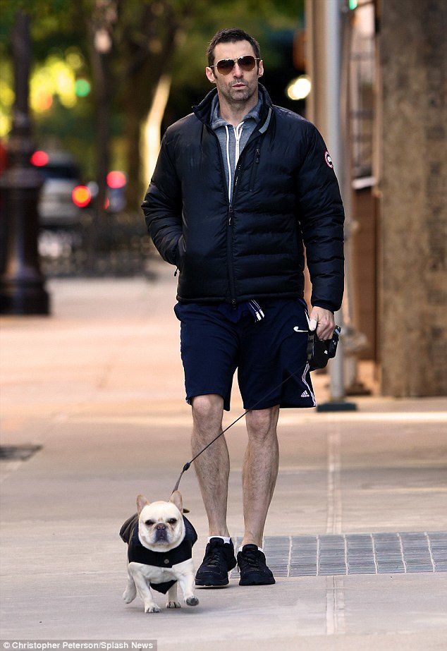 Hugh Jackman avec son bulldog français Dali, une belle complicité