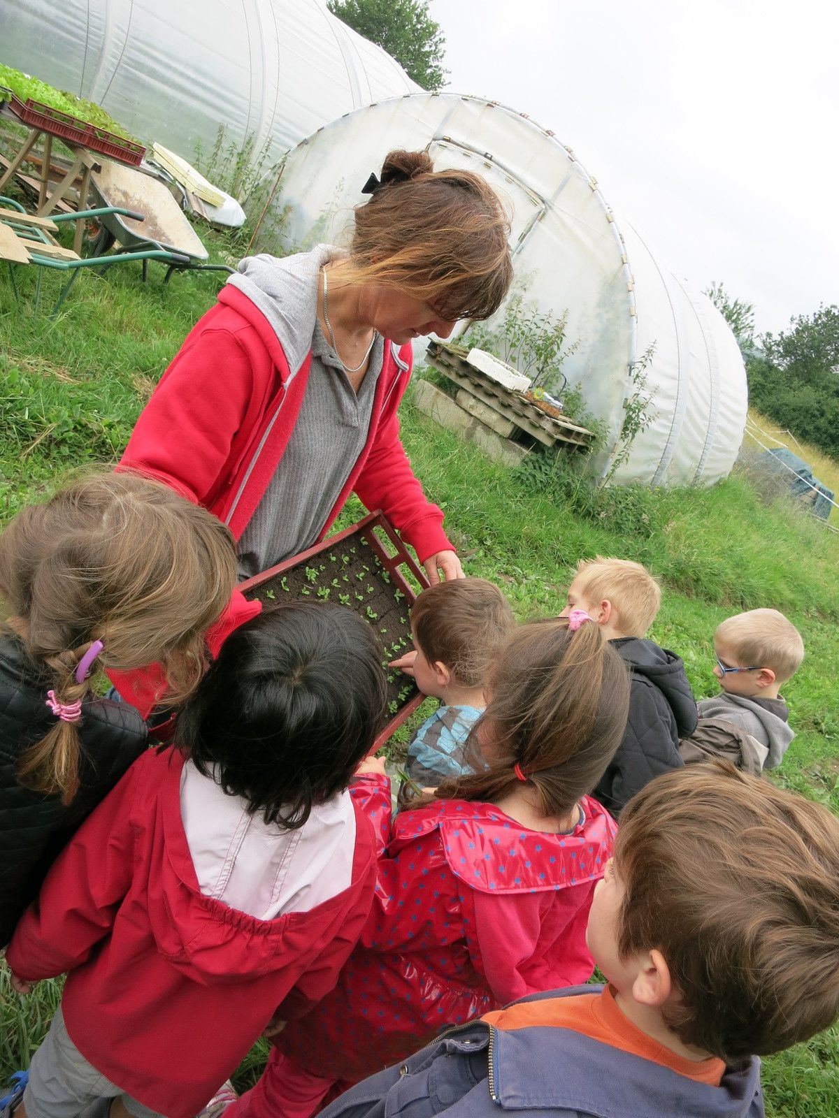 Visite à la ferme Ane et Carottes Les explorateurs du Parc