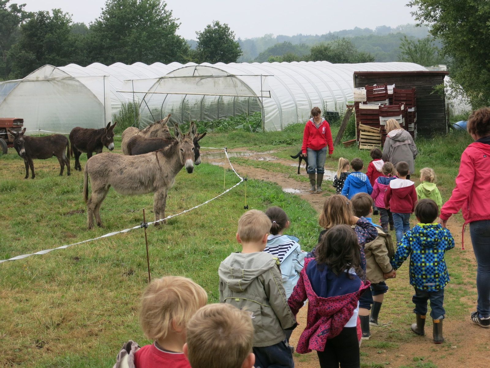 Visite à la ferme Ane et Carottes Les explorateurs du Parc