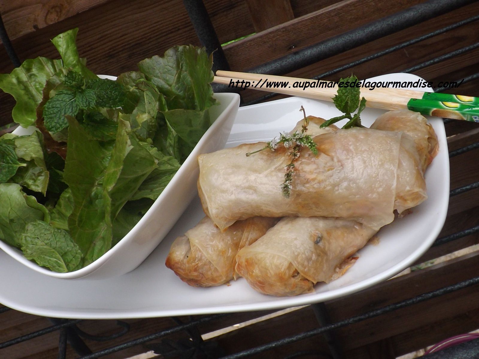 Recette Nems chou blanc et porc