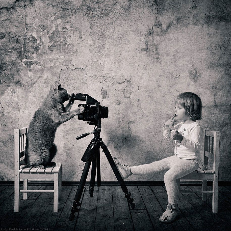 Black and White Friendship Story of a 4-Year-old Girl and Her Cat (16 pictures)