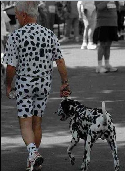 Tel Chien Tel Maitre Humour Actualites Citations Et Images