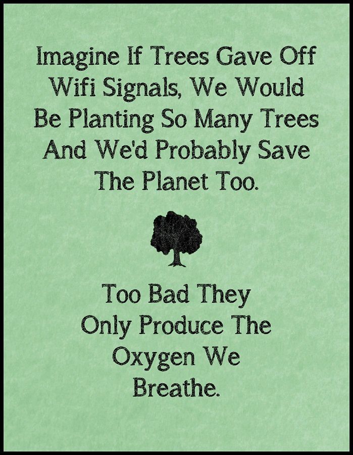 Imagine if the trees gaves off Wifi signals..