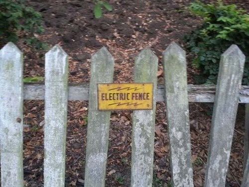 Electric fence 
