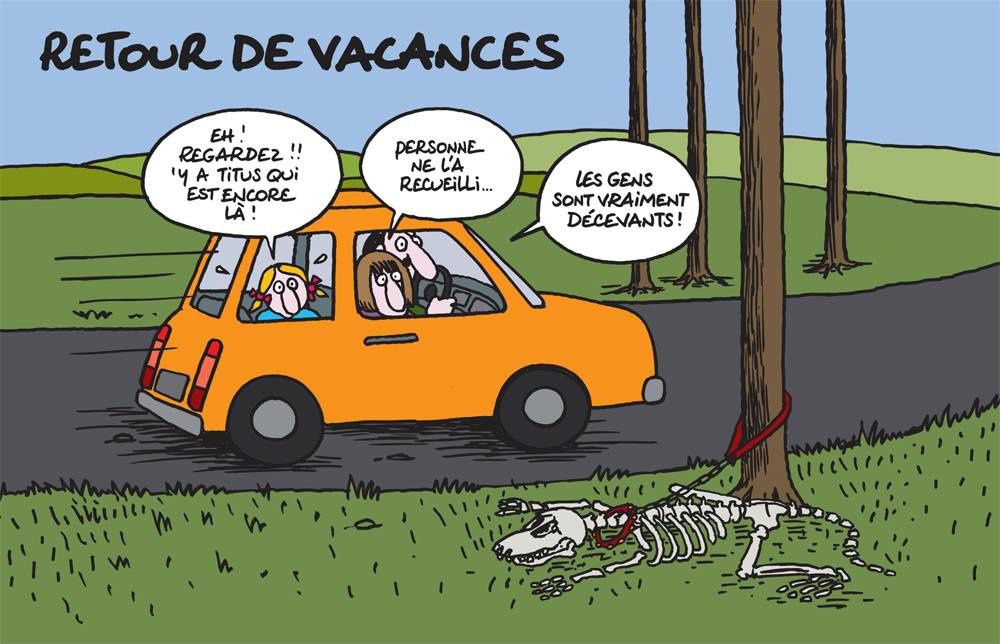 Retour de vacances - Humour Actualités Citations et Images