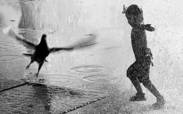 La Pluie Des Larmes Est Necessaire A La Recolte De L Instruction Humour Actualites Citations Et Images