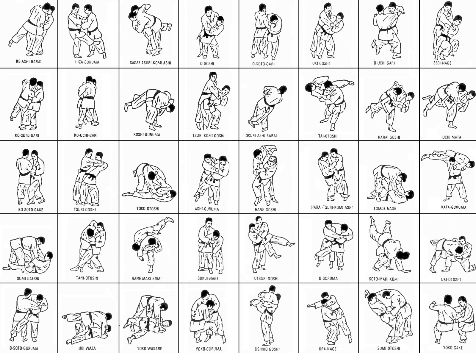 techniques judo judo