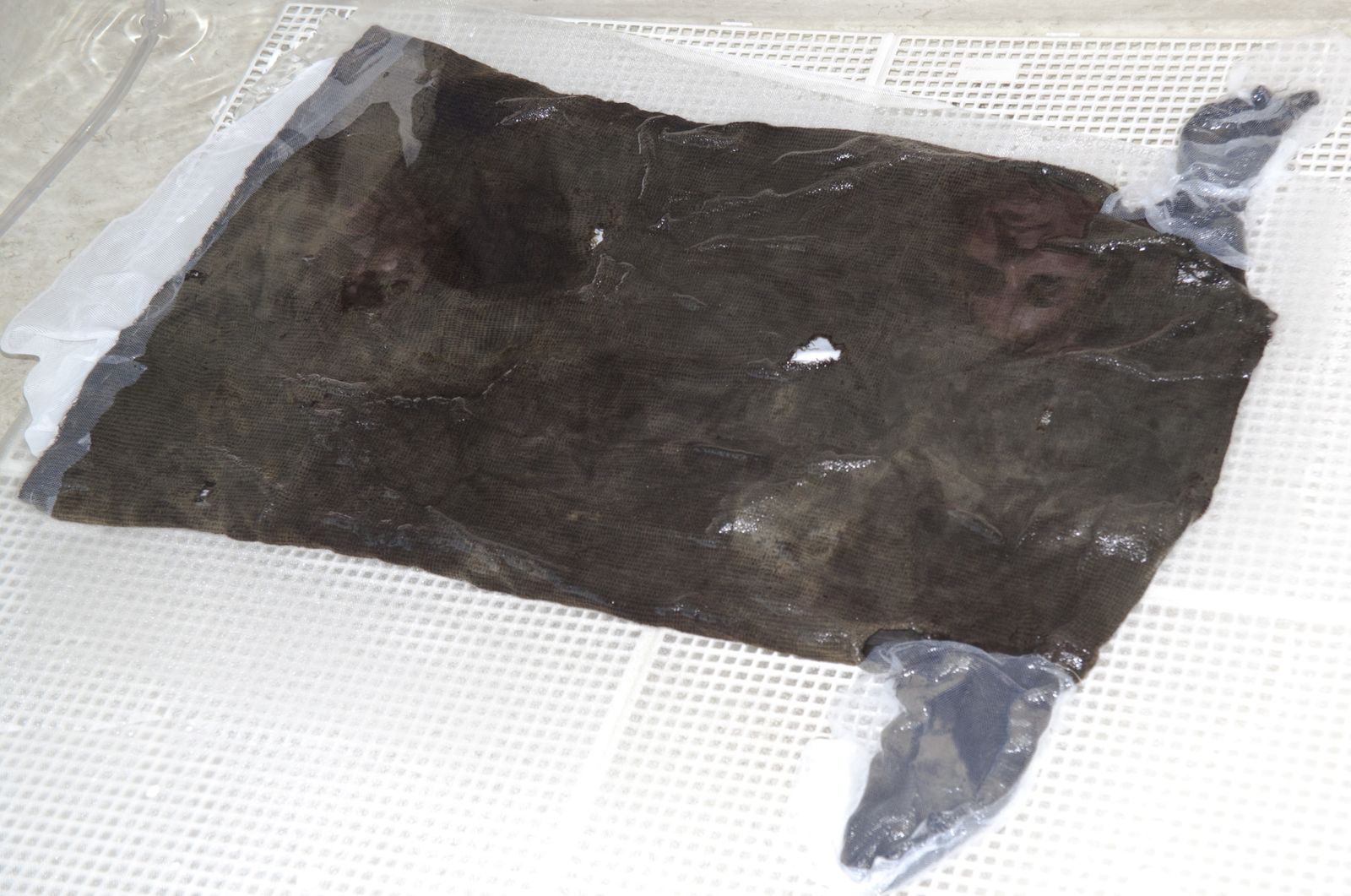 Découverte d'une tunique de 1700 ans en Norvège