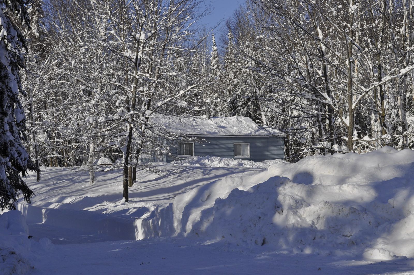 Un réveillon de noël sous la neige canadienne - Les Frenchkiwis au Canada