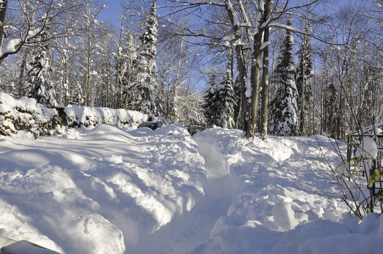 Un réveillon de noël sous la neige canadienne - Les Frenchkiwis au Canada
