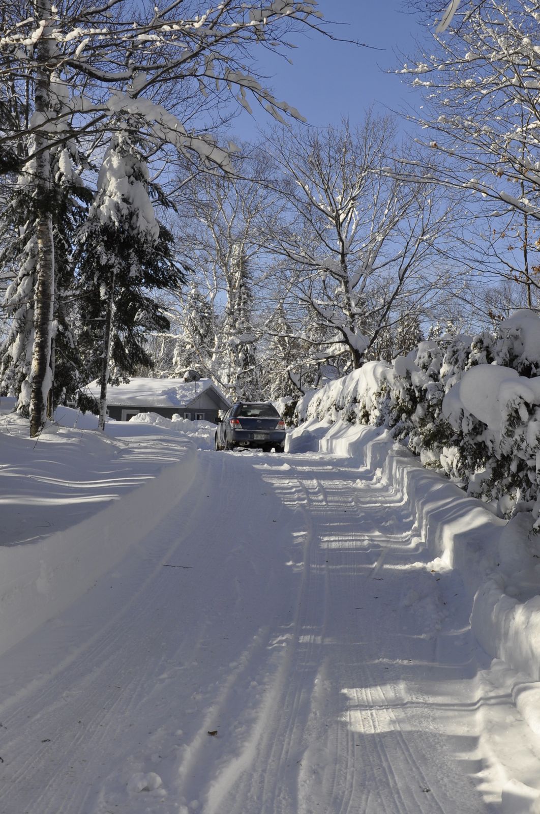 Un réveillon de noël sous la neige canadienne - Les Frenchkiwis au Canada