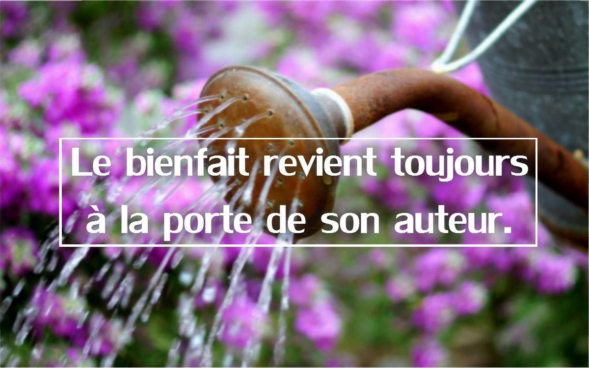 ange terrestre rencontre